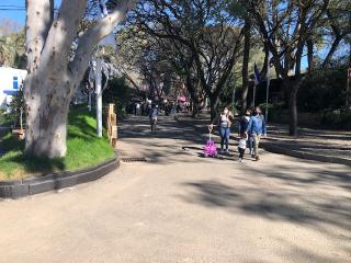 Prado